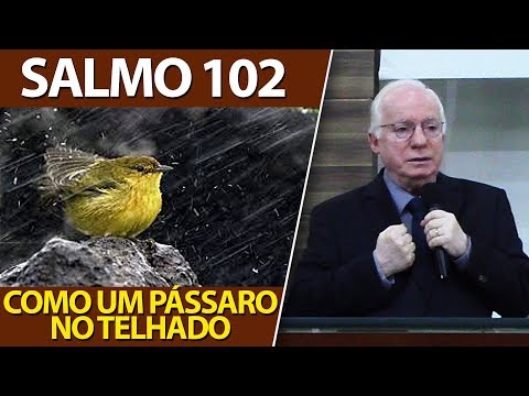 Salmo 102 video