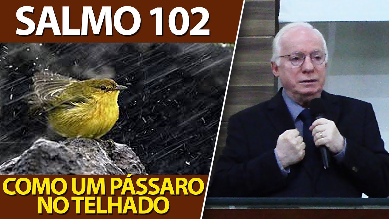 Pregação do Salmo 102 - Como um pássaro solitário no telhado. (Paulo Seabra)