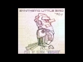 Tao H  - Synthetic Little Bird [DREAMER LP]