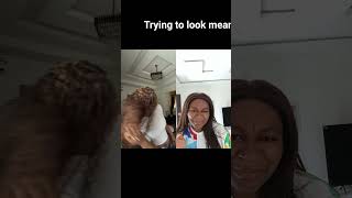 Download lagu #funny #trending #youtubeshorts #viral #shortsvideo #comedy mp3