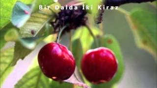 Bir Dalda İki Kiraz - Safiye Ayla