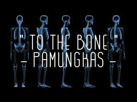 PAMUNGKAS - TO THE BONE, Cover Lagu to the bone || Lagu buat nemenin kerja