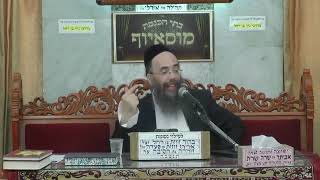 זרע שמשון - פרשת בהעלותך - הרב יוסף חיים אוהב ציון