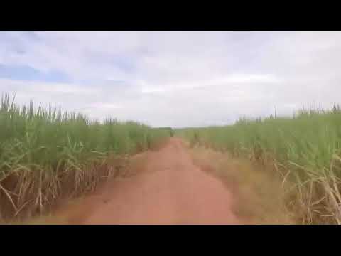 Boa Esperança do Sul ⧸ SP — Uma Viagem de Drone pela Área Rural