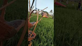 Download lagu Inovasi Alat Pertanian Kreatif Tiada Habisnya #shorts mp3