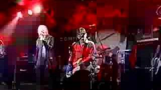 RADIO BIRDMAN - Do the pop