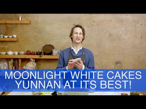 Tea Addicts 2022 - Moonlight White Cake Simao Yue Guang Bai Bingcha First Grade Yunnan