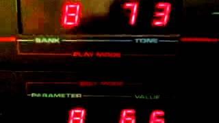 Video thumbnail for Cheetah MS6 audio demo by Errol  & Duncans cocker spaniel channel