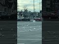 Seagulls Parking Only