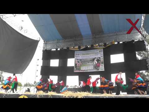 Trillay Huaylash - Palmayoc, Canipaco | I Concurso Nacional del Huaylarsh 2016 #5 | El Auquish