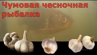 Рыбалка в красной яруге рп5