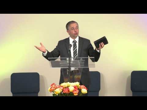 David 5 - Sasa Andjelkovic