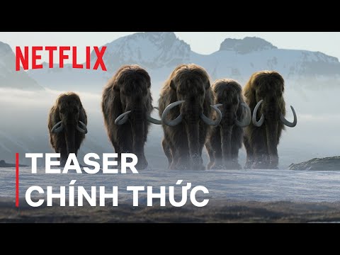 Teaser chính thức