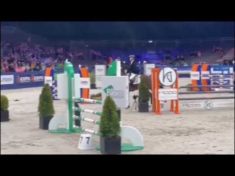 Night Life VDL with Hessel Hoekstra win the 1.10m overall KWPN Stallion Competition