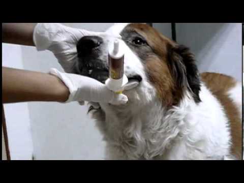 Doctora Nena - Productos