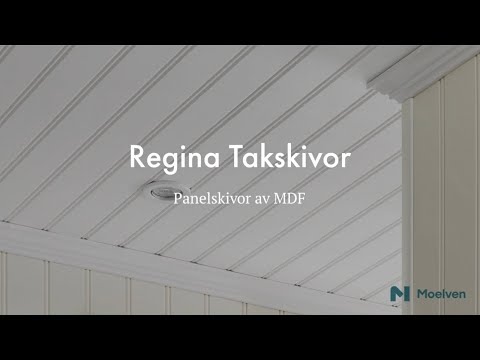 Panelskiva Moelven Regina Tak Linje Dekor Vit S 0500-N 4 st/frp