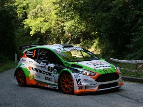52°Rally del Friuli 2016 (Day 1) Pure Sound
