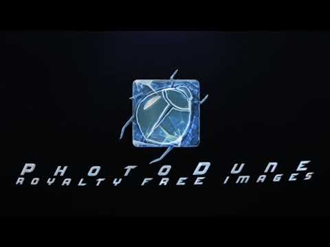 ✨Gaming Logo Intro – Dynamic Esports Animation for Streamers "E683"