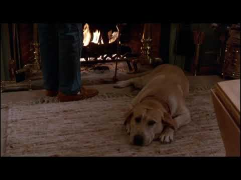 Funny Farm - Yellow Dog - Fireplace Scene