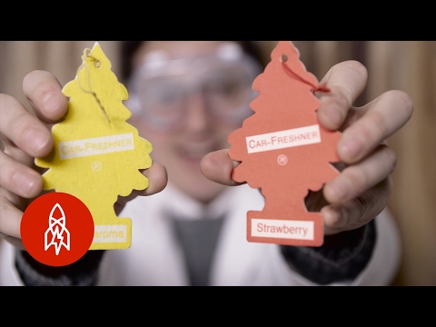 リトルツリーの車用芳香剤のストーリーとても新鮮でとてもきれい (The Story of the Little Tree Car Air Fresheners: So Fresh and So Clean)