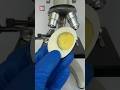 3 सबसे कमाल के Microscopic View Shorts