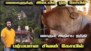Temple video