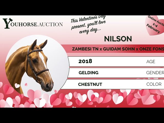 Nilson flatwork, movements and lead changes