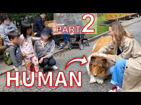 ¡Las reacciones de la gente al ver un disfraz de perro realista!