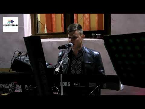 Silviu Brazdis - Muzica de petrecere 1