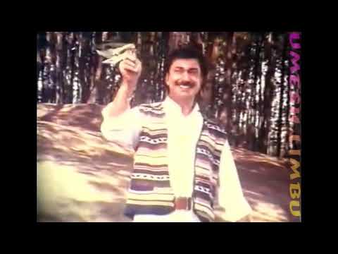 Timro Rupa Kastobaimani