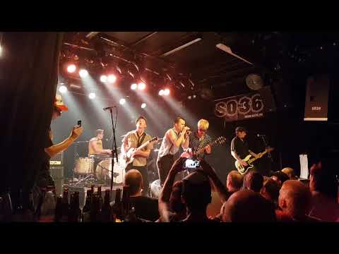 The Briefs and Smail Shock - Insekt LIVE