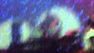 Scouting for Girls- Silly Song at Radio City Live Liverpool