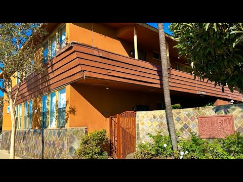 ZZZ-MNew - Video 2 of 2