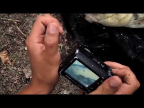 CapT.M. TV Episode #8: Topwater madness