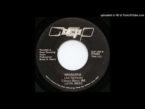 LYSERGICFUNK : Maranatha - Latin breed