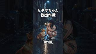 救出作戦「第1話」ルナ、ひとりで行くの？ #猫動画 #猫のいる暮らし #猫好きさんと繋がりたい #元気になる動画 #好きな子猫 #子ネコ #元気お届け #かわいい #猫のいる生活 #cat #癒やし