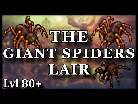GIANT SPIDERS LAIR - Where To Hunt Mages Lvl 80+ [TIBIA]