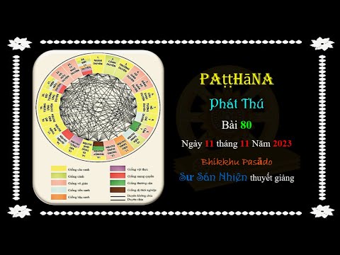 Patṭṭhāna - Phát Thú - Bài 80 - 11/11/2023 do Sư Sán Nhiên (Bhikkhu Pasādo) thuyết giảng.