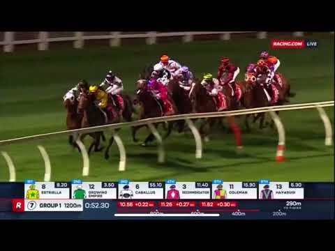 SOUTHPORT TYCOON | MANIKATO STAKES GROUP 1 2024