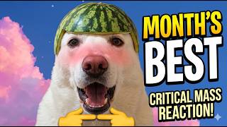 Everyone Is Watching These Ranking Videos Right Now.