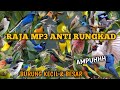 Suara Pikat Burung Kecil Besar Ribut Paling Ampuh MP3 Anti Zonk Dan Terbukti