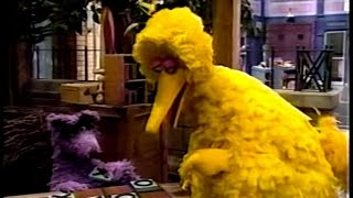 Sesame Street - Big Bird Plays with the Big Bad Wolf