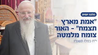 ״אמת מארץ תצמח״ - האור מגיע מלמטה | הרב שמואל אליהו | הלכה יומית | י״ח כסלו תשפ״ו (הרב שמואל אליהו) - התמונה מוצגת ישירות מתוך אתר האינטרנט יוטיוב. זכויות היוצרים בתמונה שייכות ליוצרה. קישור קרדיט למקור התוכן נמצא בתוך דף הסרטון