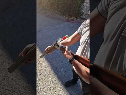 Escopeta calibre 12.