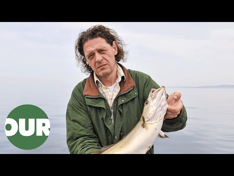 Marco's Great British Feast - Episode 1 | The Perfect Fish Pie | Our Taste