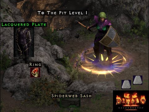 100 Sorceress Pit runs...any good drops?