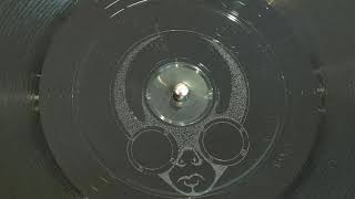Schizophonic ‎– The Treatment (DJ Buck's Medicine Mix)