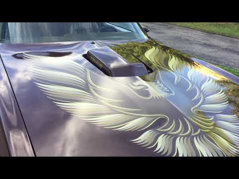 1979 Pontiac Firebird Trans Am (CC-1538740) for sale in Milford, Ohio