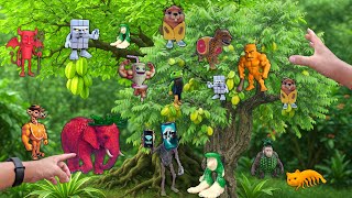 Hunting New Italian Brainrot Anomali:  Elefantini, Tung Sahur, Leoparducci Babel ,Hotspot