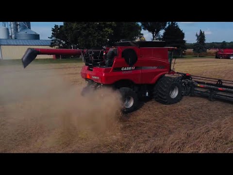 Soybean Harvest 2021